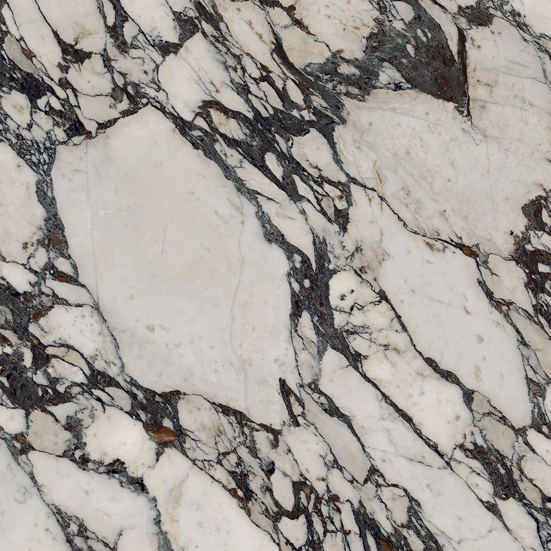 Image of Marble Sample – Calacatta Viola - Cavari