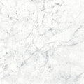 Marble Sample – Carrara White