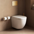 Wall Hung Toilet